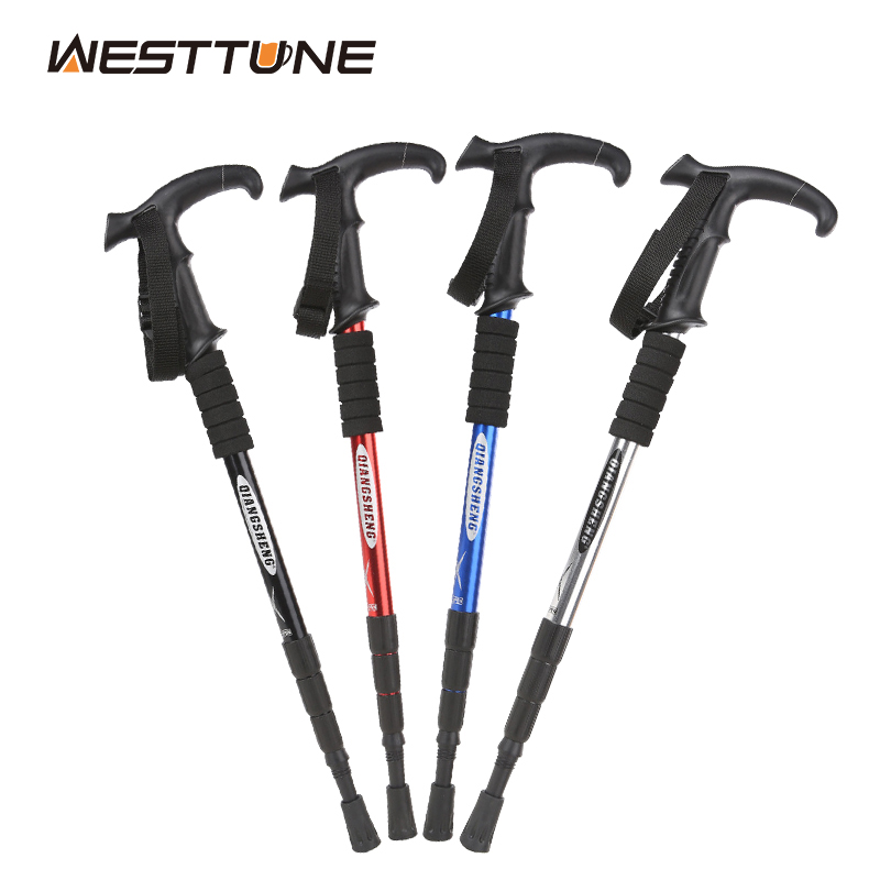 Bastone da trekking pieghevole - Trekking Pole Carbon recensione e prezzo